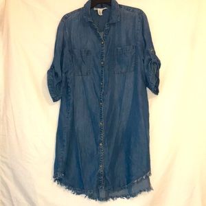 Workshop Dresses Distressed Hem Denim Dress